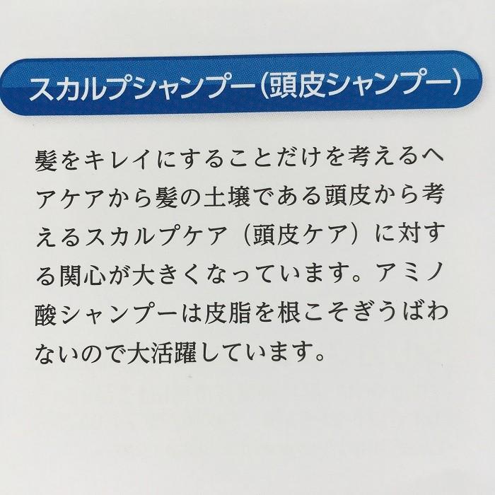 珪素 ケイ素配合シャンプー アップルシリカシャンプー 1000ml