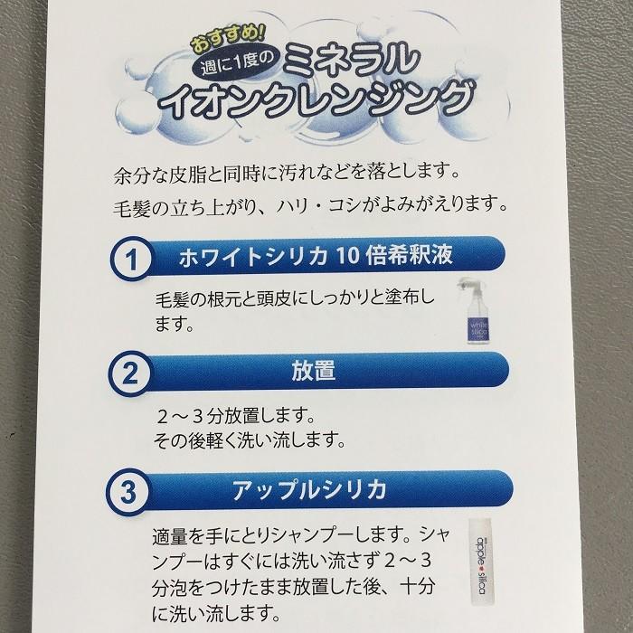 珪素 ケイ素配合シャンプー アップルシリカシャンプー 1000ml