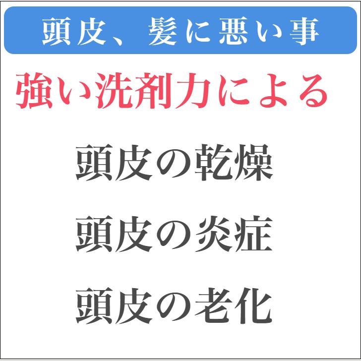 珪素 ケイ素配合シャンプー アップルシリカシャンプー 1000ml