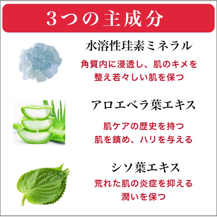 珪素 ケイ素配合化粧水 バランスシリカ 1000ml 珪素ミネラルローション