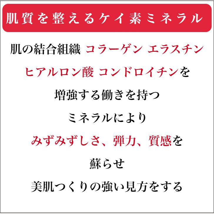 珪素 ケイ素配合化粧水 バランスシリカ 1000ml 珪素ミネラルローション