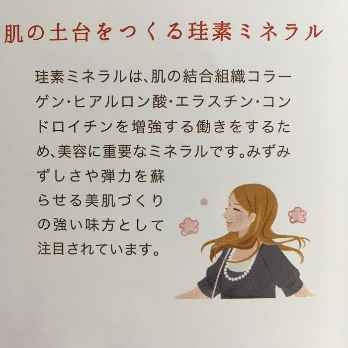 珪素 ケイ素配合化粧水 バランスシリカ 1000ml 珪素ミネラルローション