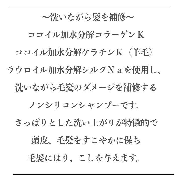 ナッシュ KANAME 花菜芽シャンプー1000ml 詰替 : object.co - 通販