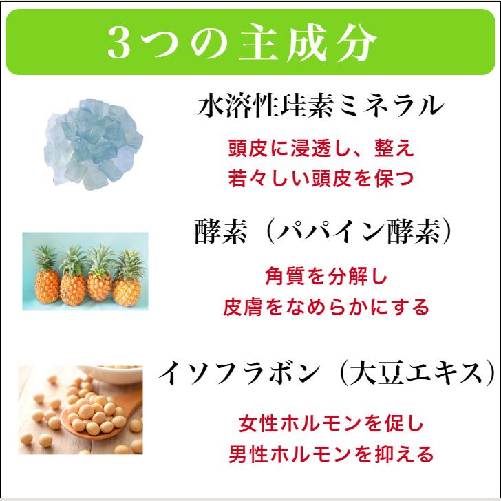 珪素 トリートメント お風呂上り 流さない ヘアケア スタイルシリカ