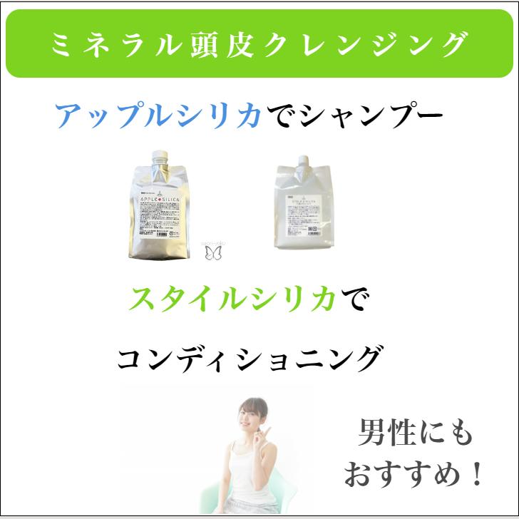 珪素 トリートメント お風呂上り 流さない ヘアケア スタイルシリカ