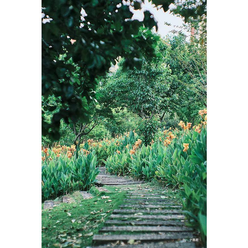 銘匠光学 TTArtisan 50mm f/0.95 C RFマウント・APS-C (ブラック×シルバー) 50mm TTArtisan f/0 RFマウント APS ブラック×シルバー