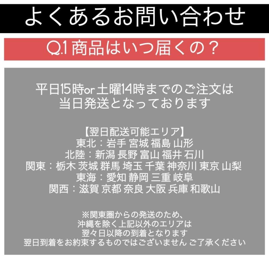 エンジンケミカル MOTUL Fuel SysteM Clean Auto 300ml×12本セット 送料無料｜salvas｜07