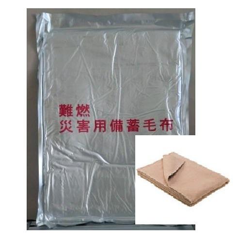 送料無料 【10枚】 難燃性毛布 真空パック包装 スポーツ アウトドア活動 防災 非 常時 帰宅困難者用 震災 備蓄用品 キャンプ アウトドア 車中泊