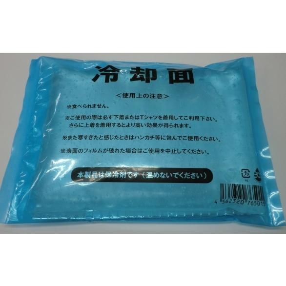 ジェルタイプ保冷剤 長時間冷温維持 4 5時間維持 暑さ対策 熱中症対策 クーラーボックス 保冷ケース 保冷ベスト 熱さまし キャンプ アウトドア スポーツ 釣り As サルウェー 通販 Yahoo ショッピング