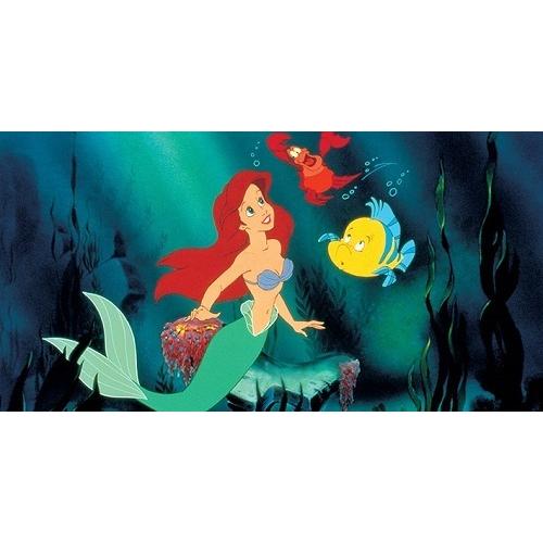 レア品 アリエル 小物入れ リトルマーメイド Disney ディズニーシー リトルマーメイド ベビーアリエル セバスチャン