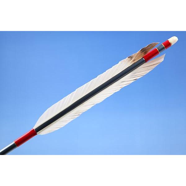 正規激安 白尾羽 14シャフト 6本組 弓道 弓具 矢 D 1528 D 1528 弓道具の専門店 山武弓具店 通販 Yahoo ショッピング 限定製作 Mobile Scotturb Com