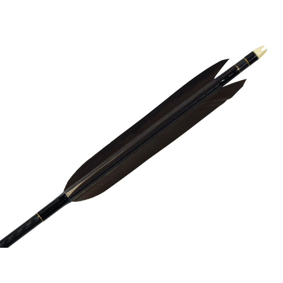 Mizuno カーボンシャフト WENEW（ウィニュー） WENEW8023 黒手羽 6本組 80-23 推奨弓力14kg〜16kg 【D-1709】 弓道 矢 | MIZUNO | 01