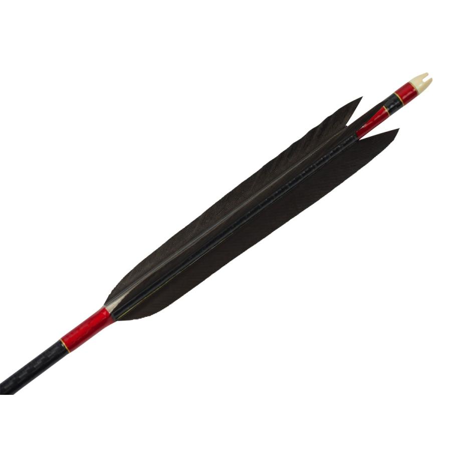 弓道　カーボン矢　wenew 8023 カーボン矢 6本組 ミズノWENEW 8023 黒手羽 (4) - 大阪 猪飼弓具店