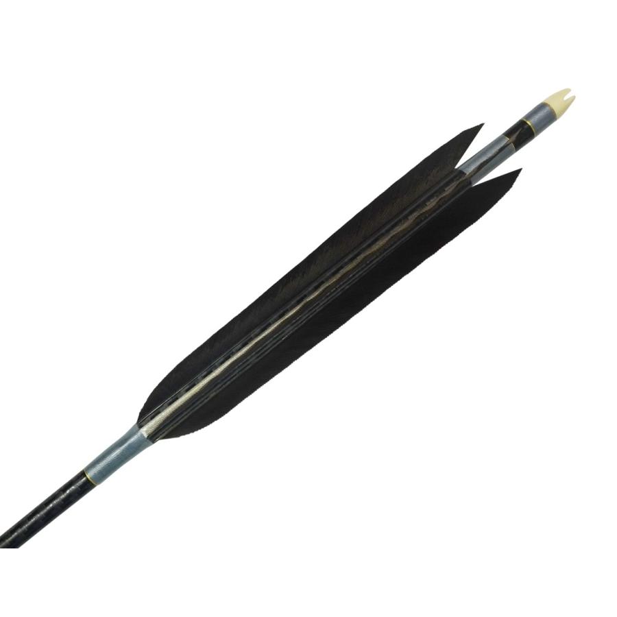 Mizuno カーボンシャフト WENEW（ウィニュー） WENEW8023 黒手羽 6本組 80-23 推奨弓力14kg〜16kg 【D-1712】 弓道 矢 | MIZUNO | 01