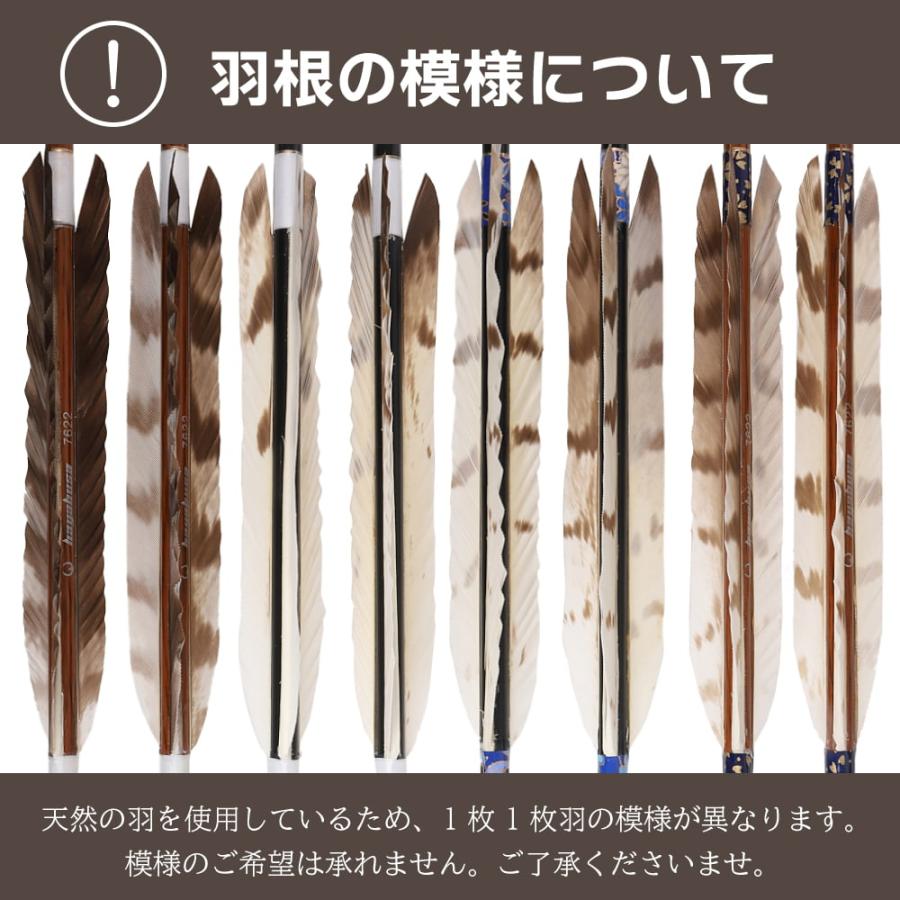 ハンドメイド　リメイク　飾り　インテリア　弓道　羽　替え羽　猛禽類　鷹の羽根 Amazon.co.jp: SHARROW 30本入 18cm雪斑羽 アロー矢羽根 左/右翼天然
