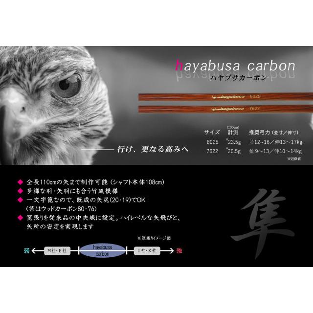 ハヤブサカーボン 矢 76-22 白手羽 6本組 2種類 推奨弓力 9〜14kg 茶 