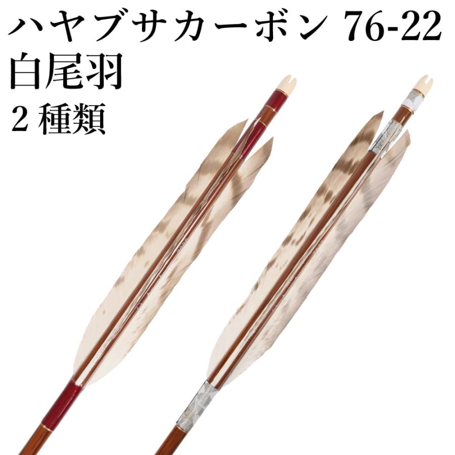ハヤブサカーボン 矢 76-22 白尾羽 6本組 2種類 推奨弓力 9〜14kg 茶