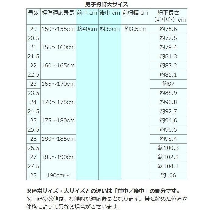 男性用袴 ポプリン 特大 20号〜28号 弓道 弓具 弓道着 H-124 | ブランド登録なし | 05