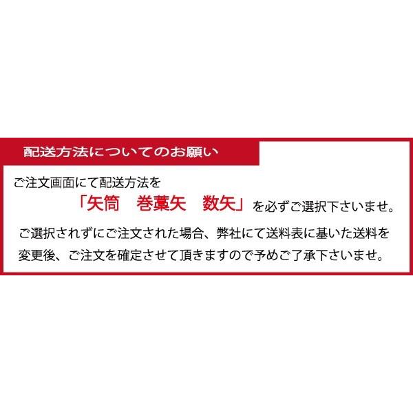 既製品 巻藁矢 1913 2015 シャフト 棒矢 羽根なし 羽根無し 弓道 弓具 矢 P-016 | ブランド登録なし | 02