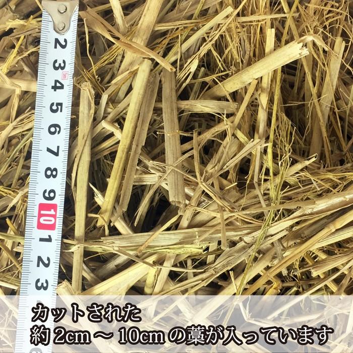 カット済稲藁 1.5kg 園芸用品 稲わら カット藁 カットわら Z-003