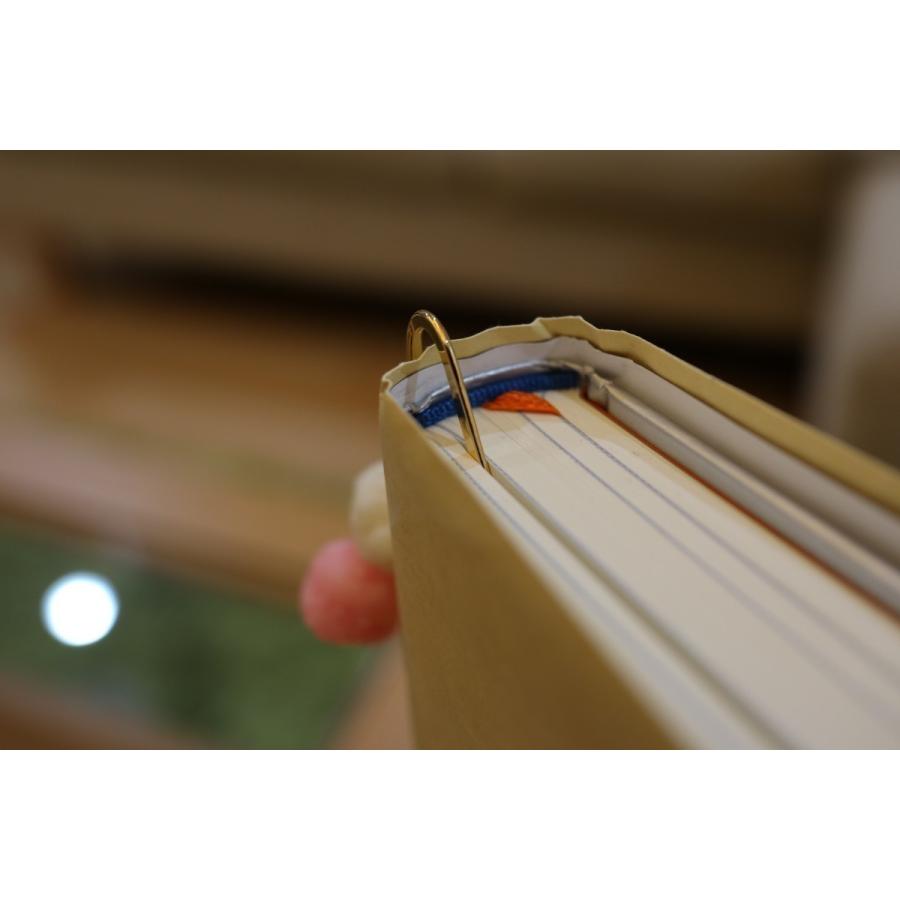 食品サンプル　しおり　いちご |  | 04