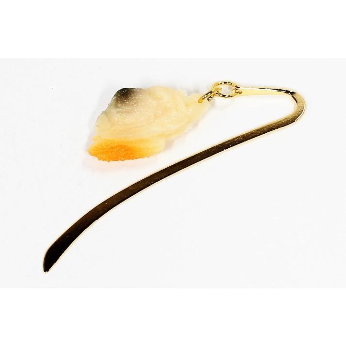 食品サンプル　しおり　あさり | 