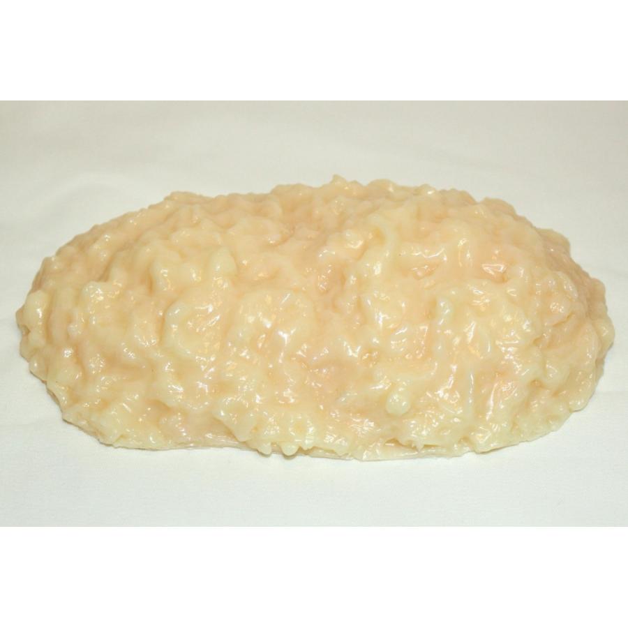 実物重量　脂肪サンプル　500ｇ　食品サンプル　脂肪模型　ダイエット　トレーニング |  | 02