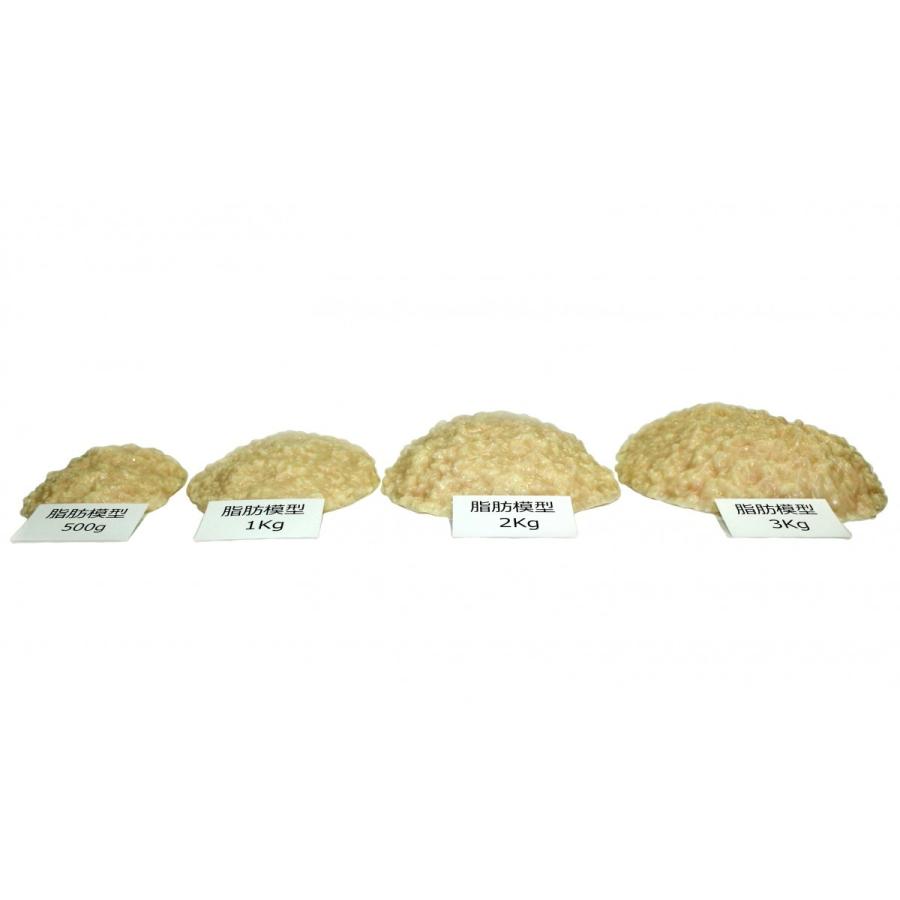 実物重量　脂肪サンプル　500ｇ　食品サンプル　脂肪模型　ダイエット　トレーニング |  | 04