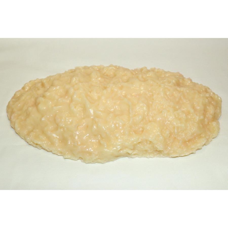 実物重量 脂肪サンプル 1kg 食品サンプル 脂肪模型 ダイエット 実物重量 脂肪サンプル 1kg 食品サンプル 脂肪模型 ダイエット