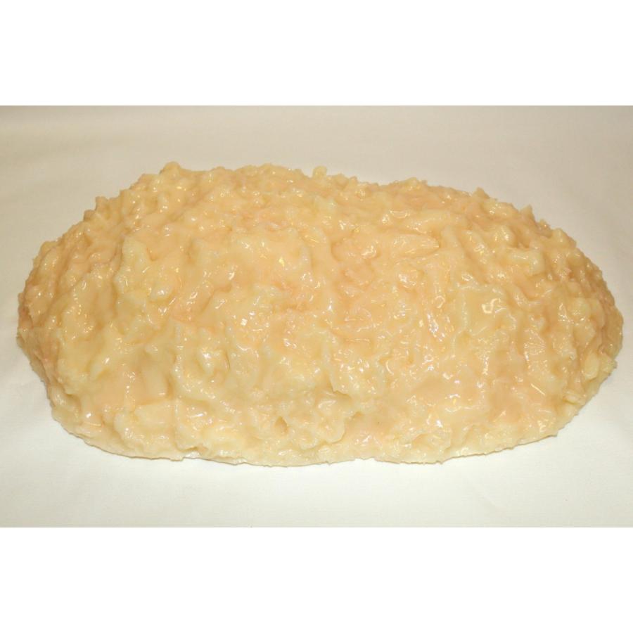 実物重量 脂肪サンプル 2kg 食品サンプル 脂肪模型 ダイエット