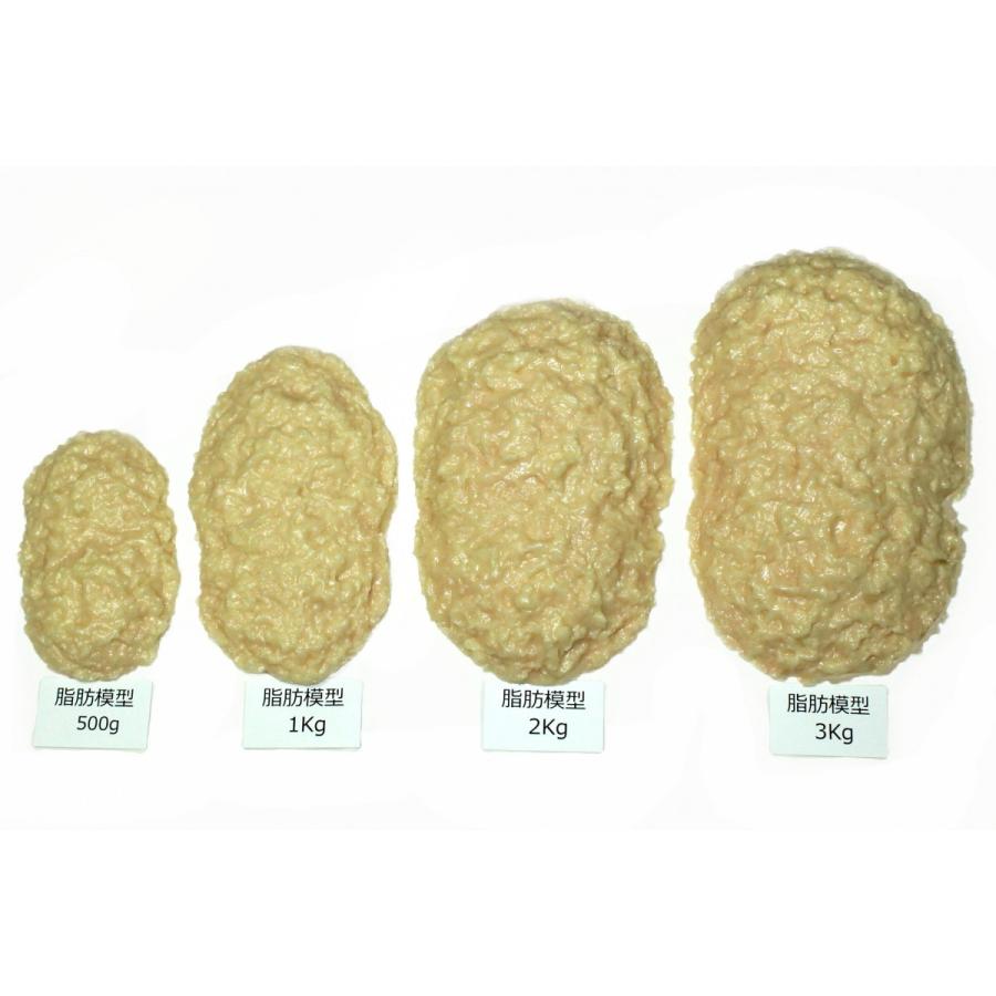 実物重量 脂肪サンプル 2kg 食品サンプル 脂肪模型 ダイエット