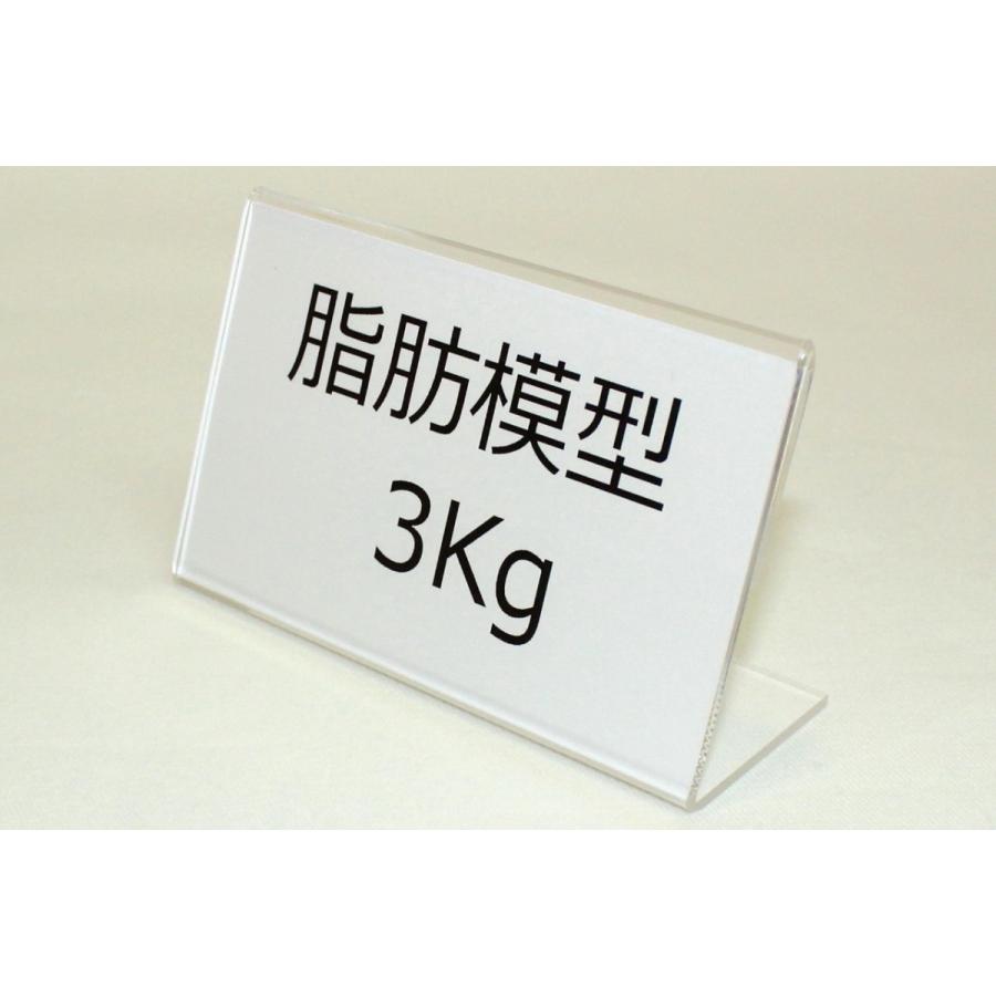 体脂肪模型3kg、2kg、1kg 計4点セット 体脂肪模型3kg、2kg、1kg 計4点セット