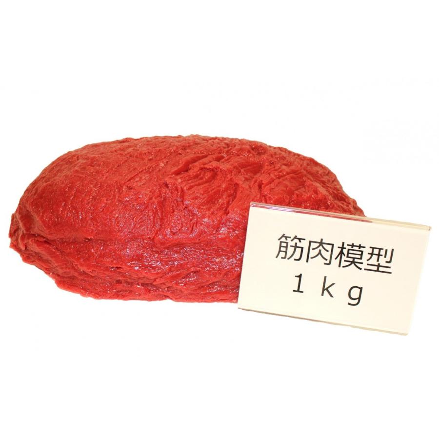 実物重量　筋肉サンプル　1ｋｇ　食品サンプル　筋肉模型　ダイエット　トレーニング | 