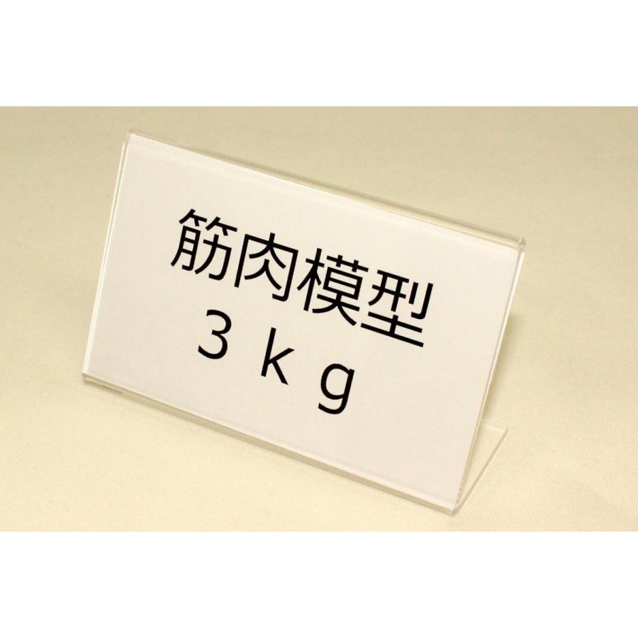 実物重量 筋肉サンプル 3kg 食品サンプル 筋肉模型 ダイエット