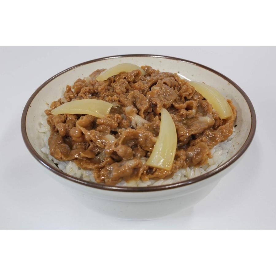食品サンプル 牛丼 I-173 | 