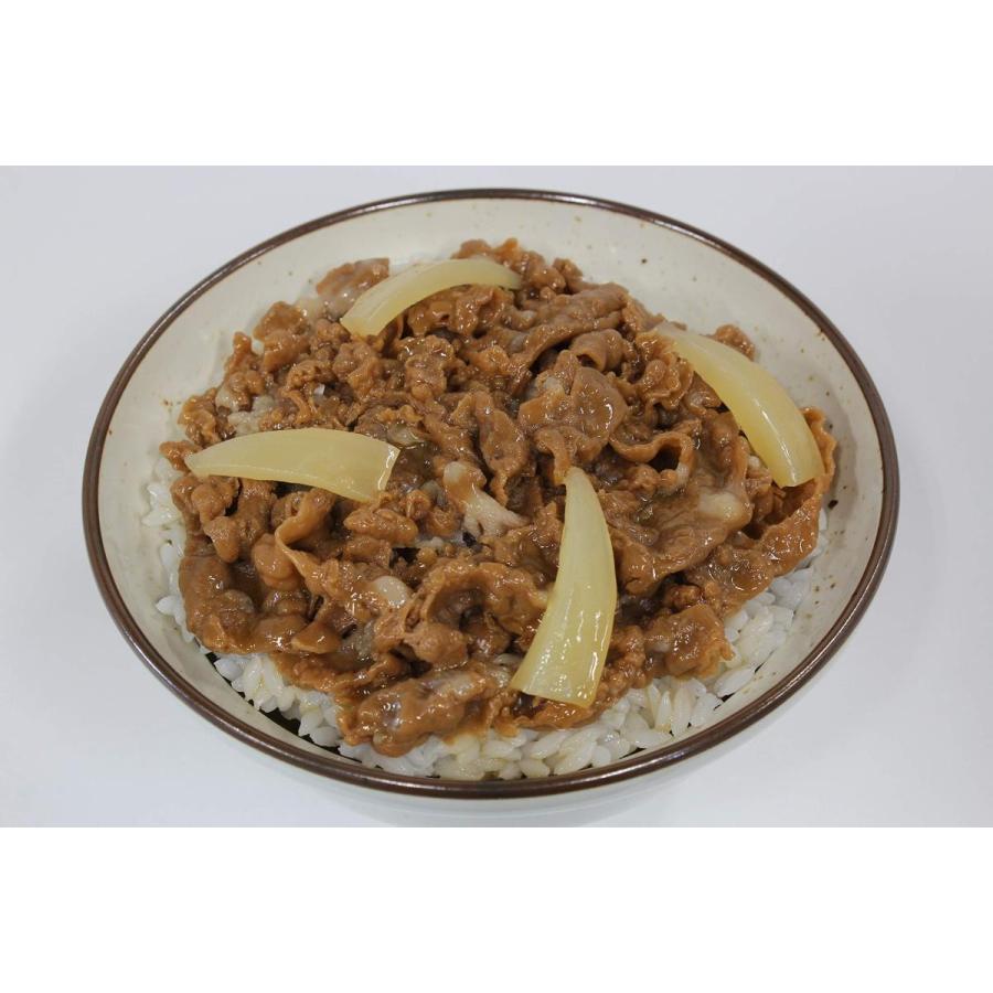 食品サンプル 牛丼 I-173 |  | 02