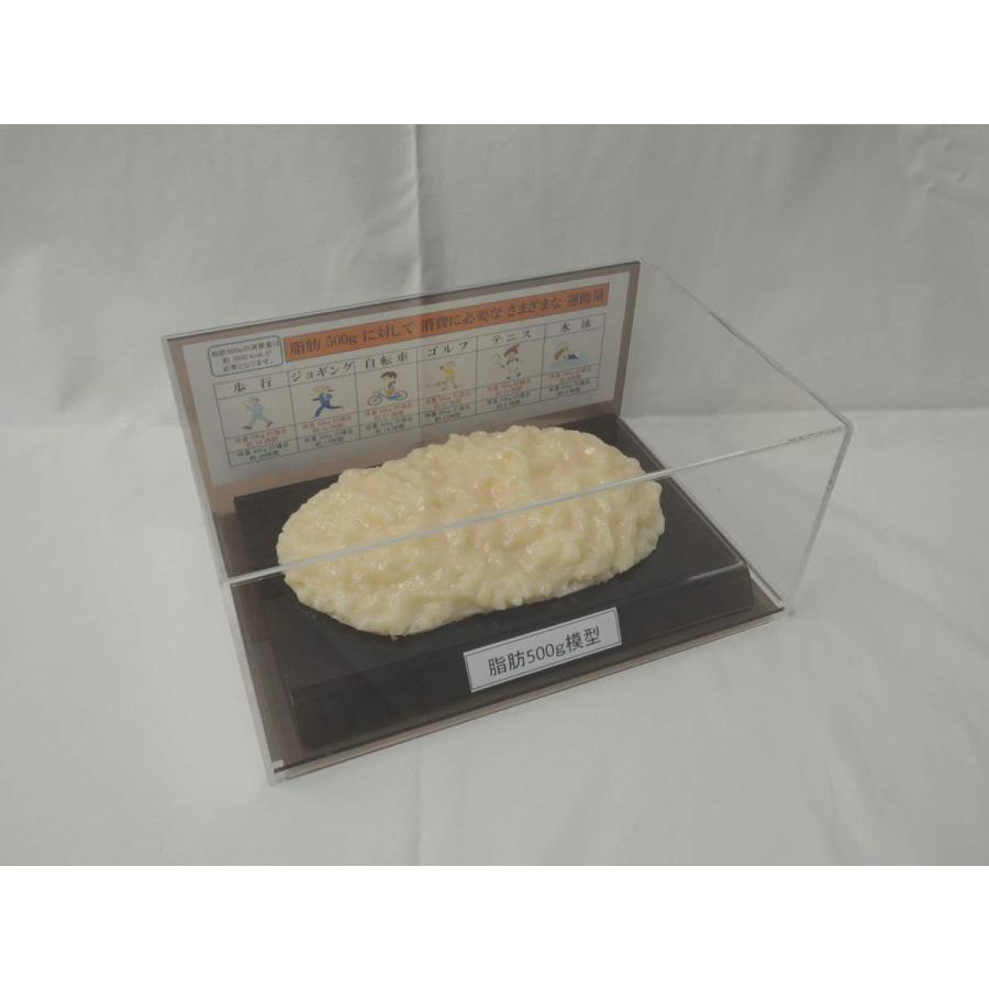 脂肪模型 フィギアケース入 ５００g ダイエット 健康 肥満 トレーニング フードモデル 食品サンプル |  | 01