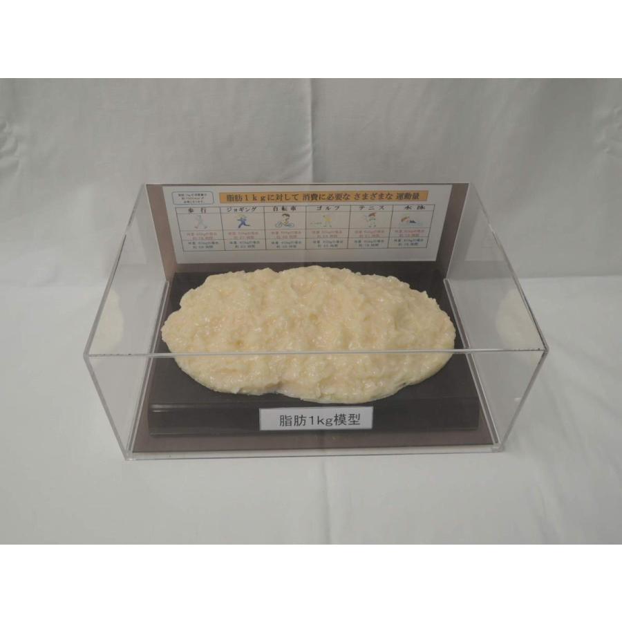 脂肪模型 フィギアケース入 1kg ダイエット 健康 肥満 トレーニング フードモデル 食品サンプル | 