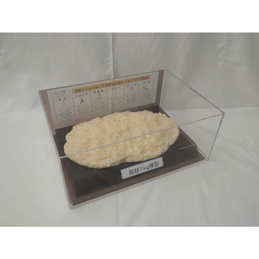 脂肪模型 フィギアケース入 1kg ダイエット 健康 肥満 トレーニング フードモデル 食品サンプル |  | 01