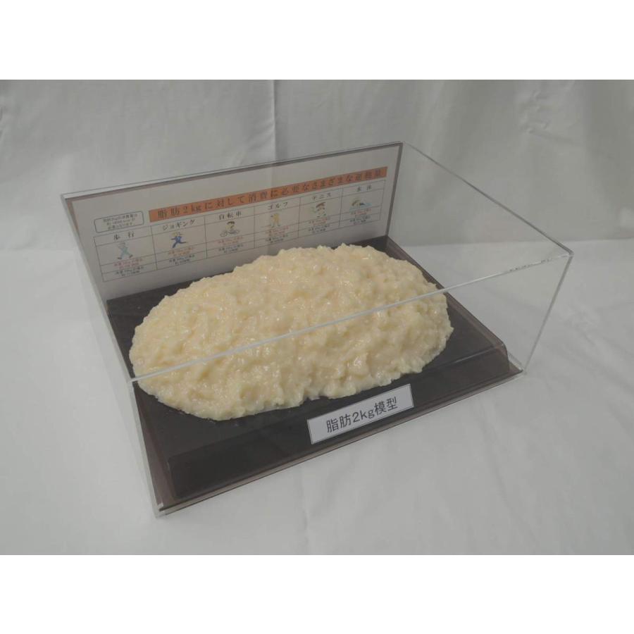 川崎フードモデル 脂肪模型 1kg×2個 ダイエット教材 健康指導用 美品 脂肪模型 フィギアケース入 2kg ダイエット 健康 肥満 トレーニング