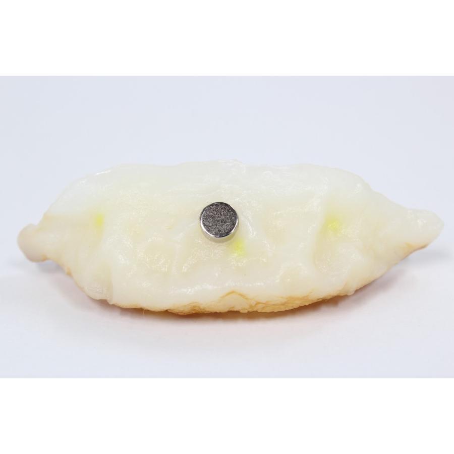 食品サンプル　餃子（大）マグネット　 |  | 02