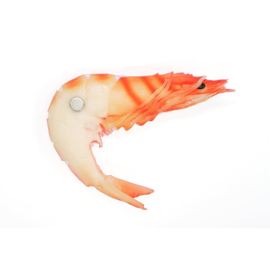 食品サンプル マグネット 祝い海老 エビ |  | 01