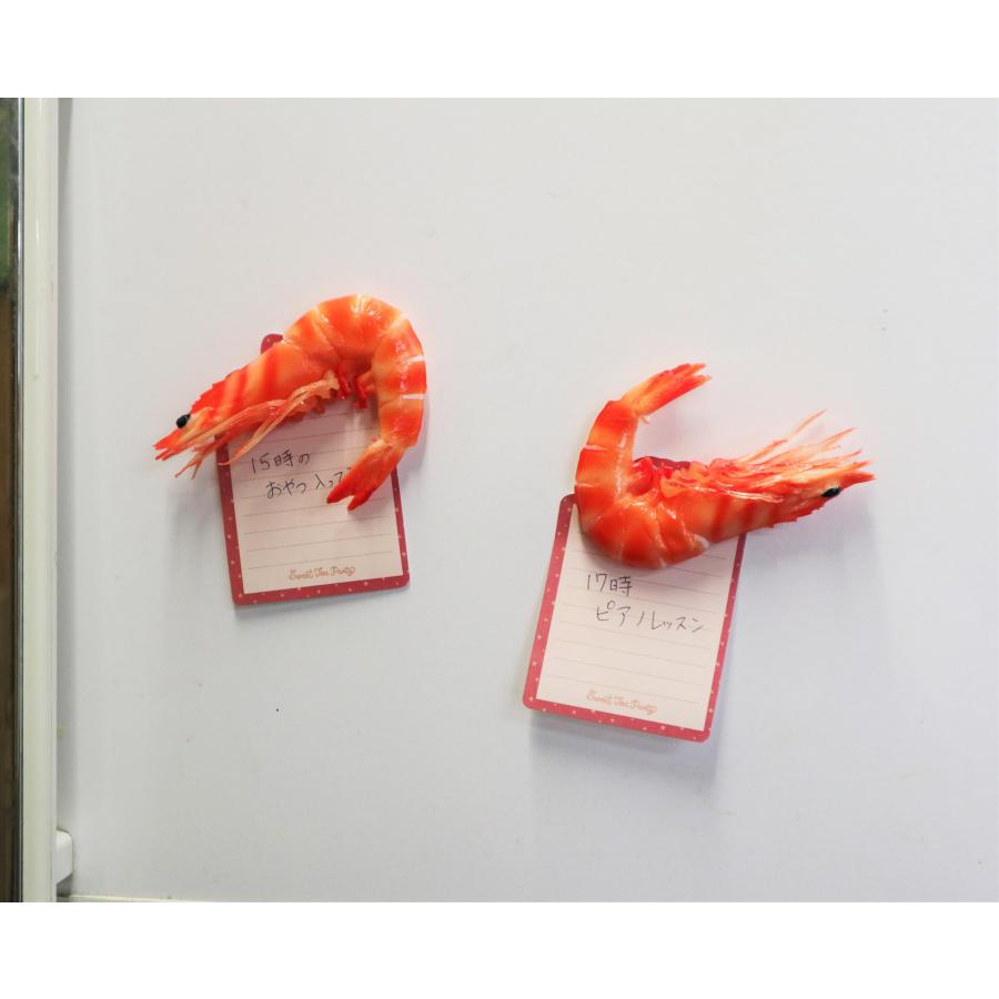 食品サンプル マグネット 祝い海老 エビ |  | 02