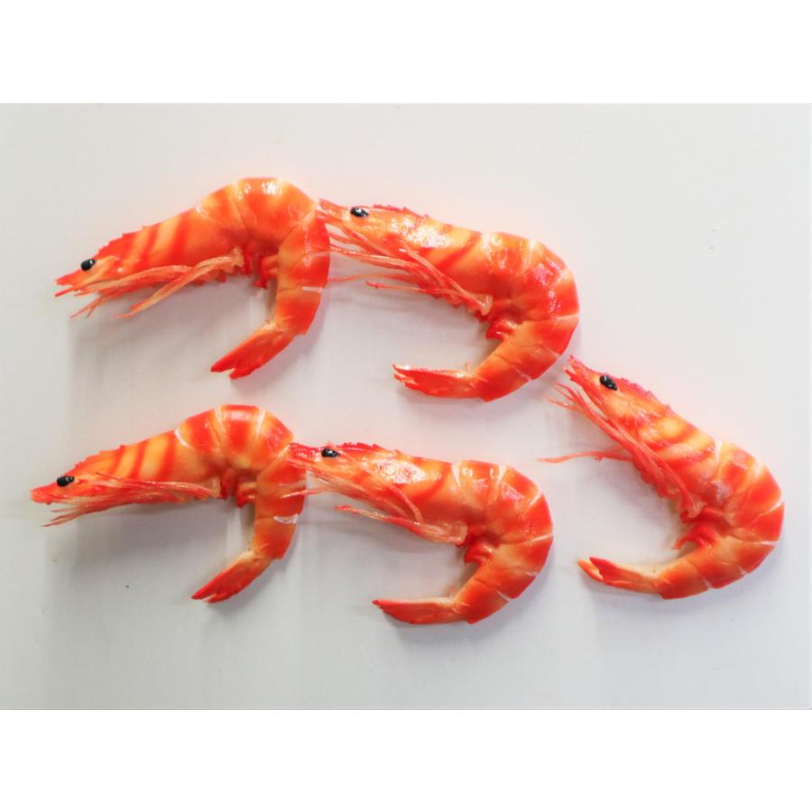 食品サンプル マグネット 祝い海老 エビ |  | 03