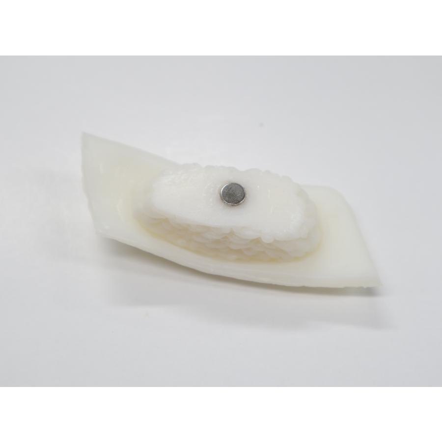 実物大サイズ　寿司　マグネット　イカ　雑貨　プレゼント　お土産 |  | 01