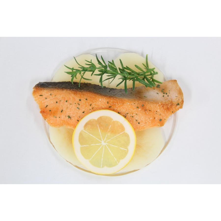 食品サンプル　スキレット用サーモン　６インチ　１５センチ　販促物　インテリア  アウトドア　 |  | 02