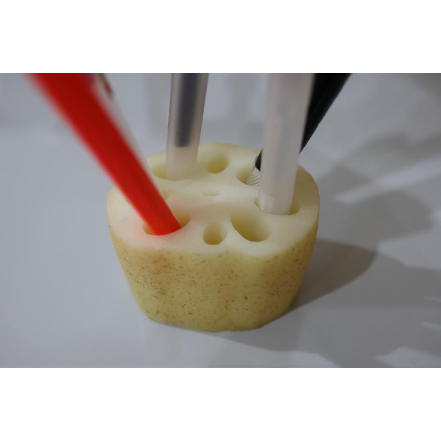 食品サンプル　いろいろ挿し込めるレンコン　蓮根　文房具　ペン立て　メガネ立て |  | 01