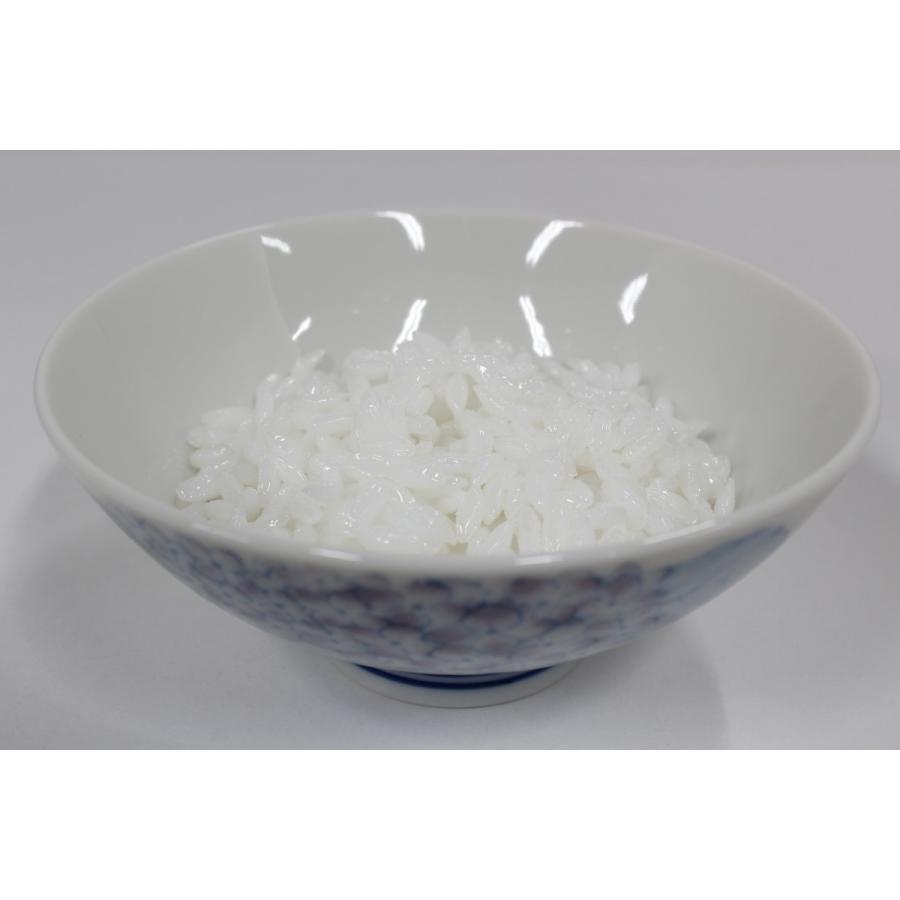 病院食】実物分量 ごはん50g 84kcal 食品サンプル フードモデル