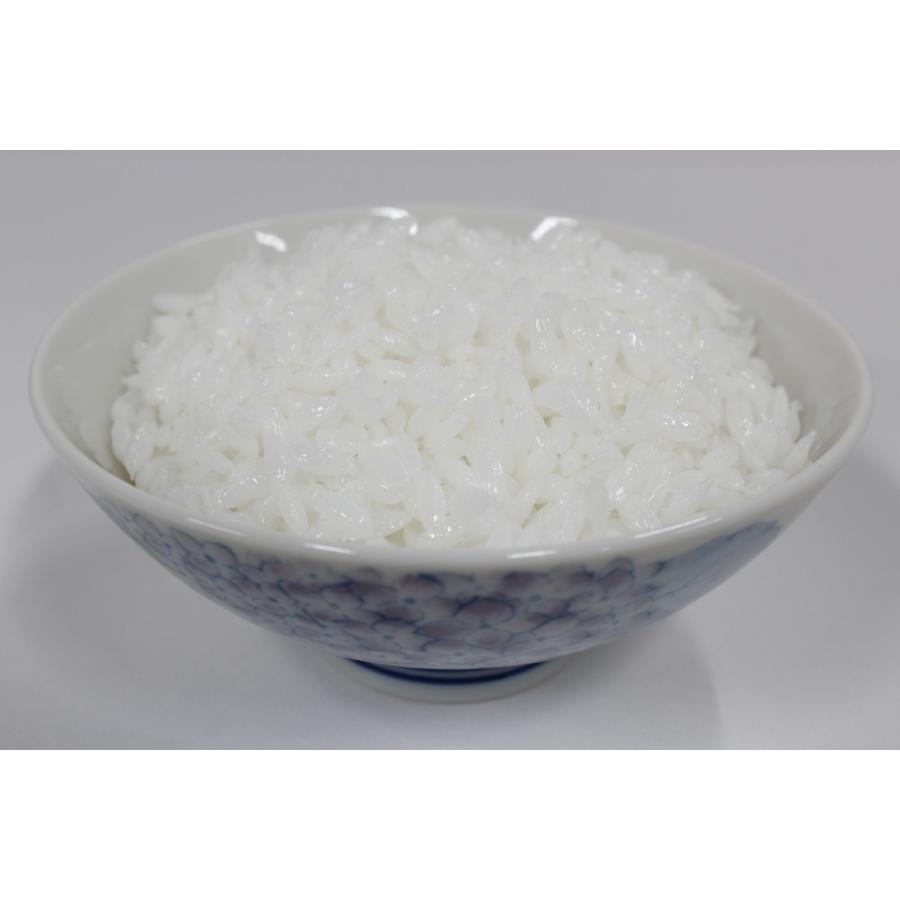 病院食 実物分量 ごはん150g 252kcal 食品サンプル フードモデル ダイエット トレーニング 栄養指導 I 443 食品さんぷる市場btoc 通販 Yahoo ショッピング