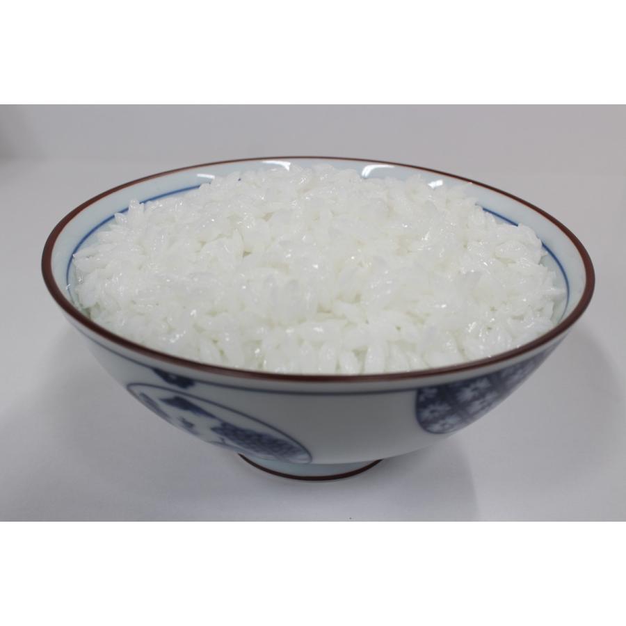 【病院食】実物分量　ごはん300g　504kcal　食品サンプル　フードモデル　ダイエット　トレーニング　栄養指導 | 